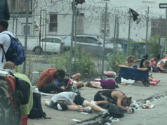 Medetomidina: un sedante veterinario que genera alerta sanitaria en Estados Unidos