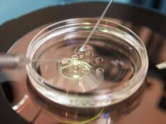 La Justicia ordenó a OSPE cubrir un cuarto tratamiento de fertilidad para una pareja de La Plata